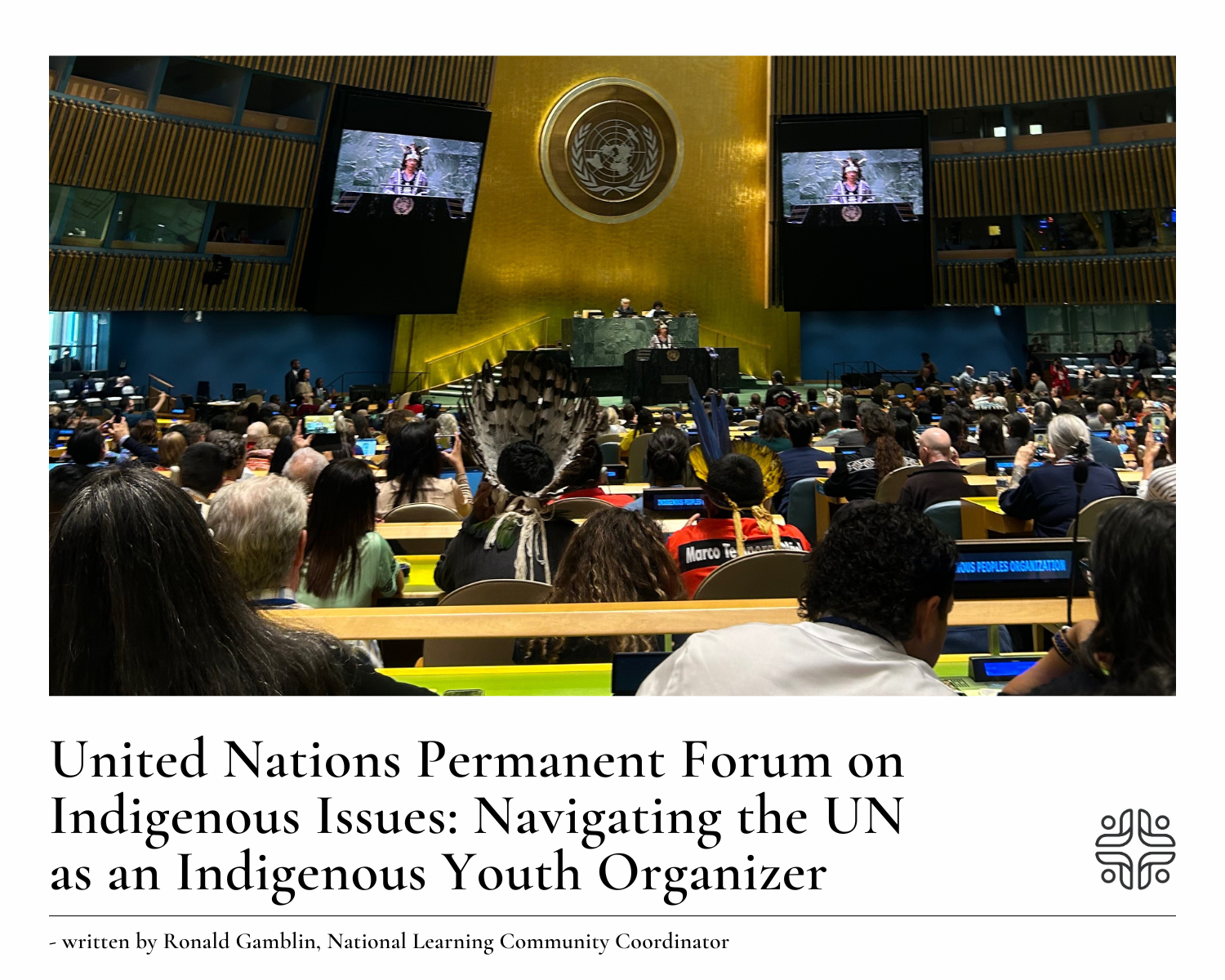 Photo of the United Nations General Assembly Hall with text below: United Nations Permanent Forum on Indigenous Issues: Navigating the UN as an Indigenous Youth Organizer - written by Ronald Gamblin, National Learning Community Coordinator